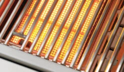 Delta Heat 32” Outdoor Gas Grill W/ Infrared Rotisserie & Sear Zone -Napoleon Shop DH 2013 SearStation crop