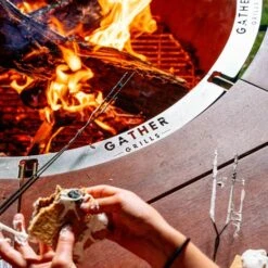 Gather Grills 46″ Reunion Standard Gather Grill -Napoleon Shop p 268fe81e cf84 40ea 8074 7b5e3d66ed08